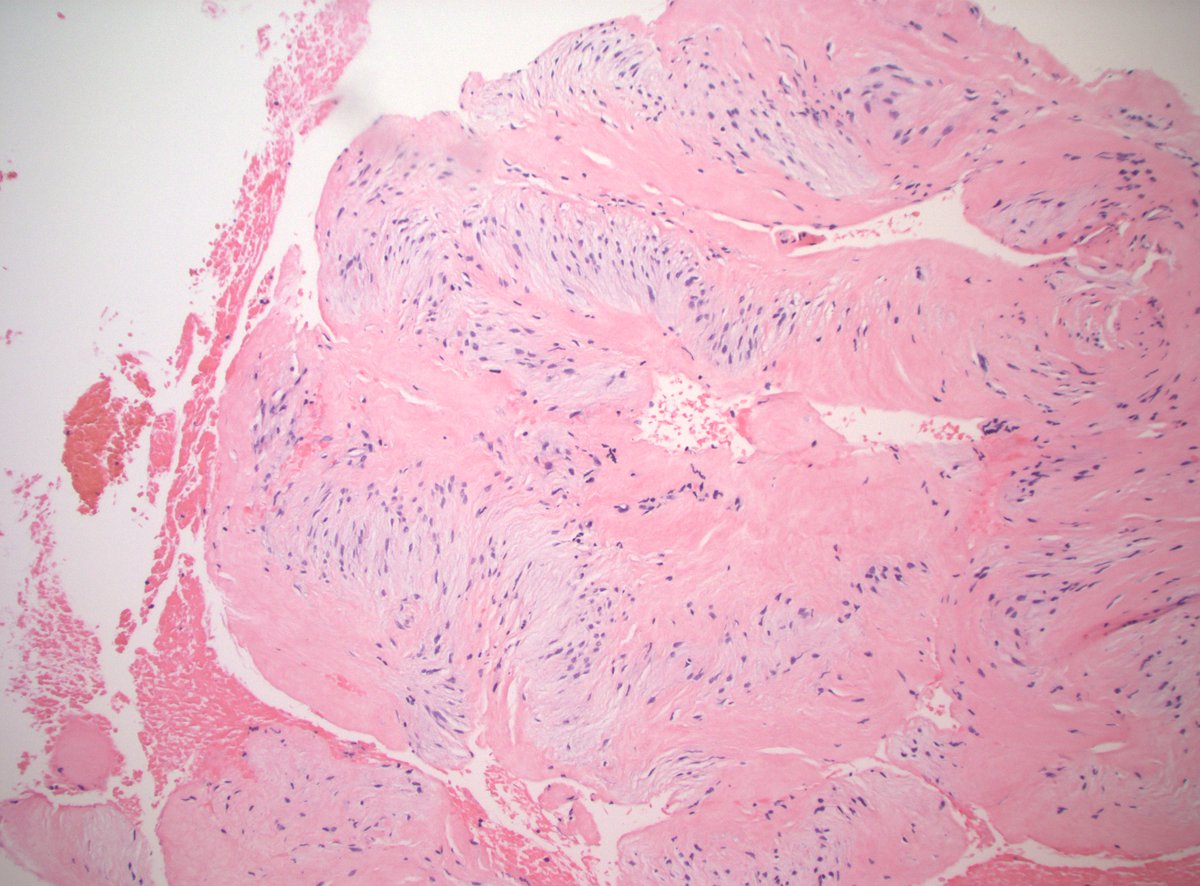 DanGrahamMD tweet picture