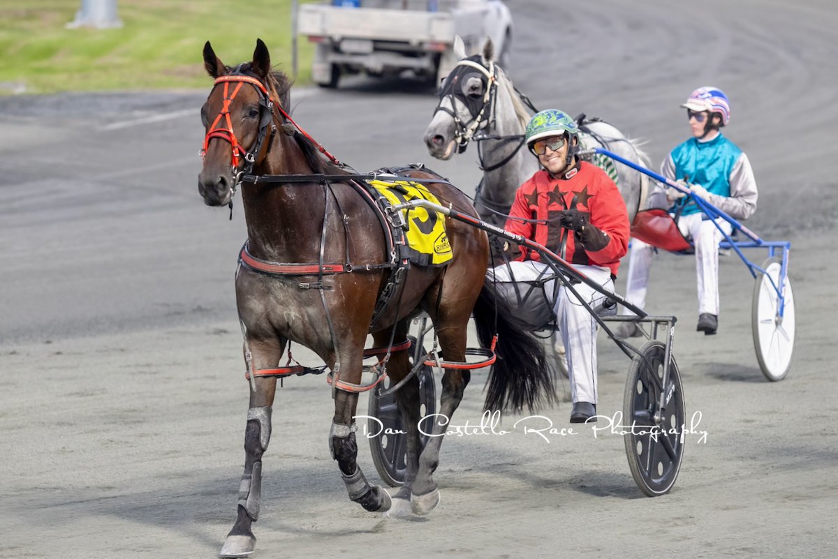 Dan Costello (@danracingwrap) on Twitter photo Trainer <a href="/shannon_raboki/">Shannon Price</a> finishes the day with a double after Hold Onto Ya Bling & Mitch Cox take out he last <a href="/redcliffe_hrc/">Redcliffe Harness Racing Club</a> Trainer <a href="/shannon_raboki/">Shannon Price</a> finishes the day with a double after Hold Onto Ya Bling & Mitch Cox take out he last <a href="/redcliffe_hrc/">Redcliffe Harness Racing Club</a>