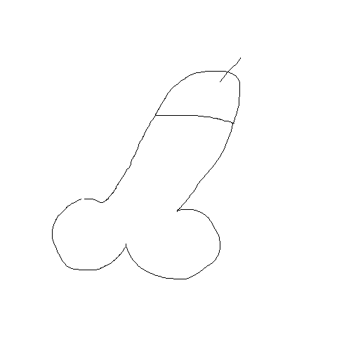 a dick drawing