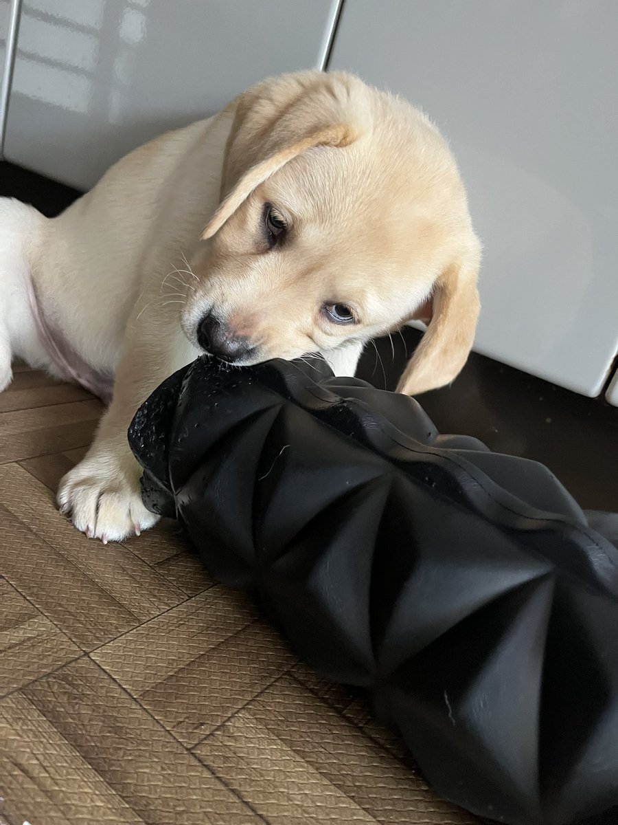 皆様　おはようございます♪
今朝も悪い顔してます😆