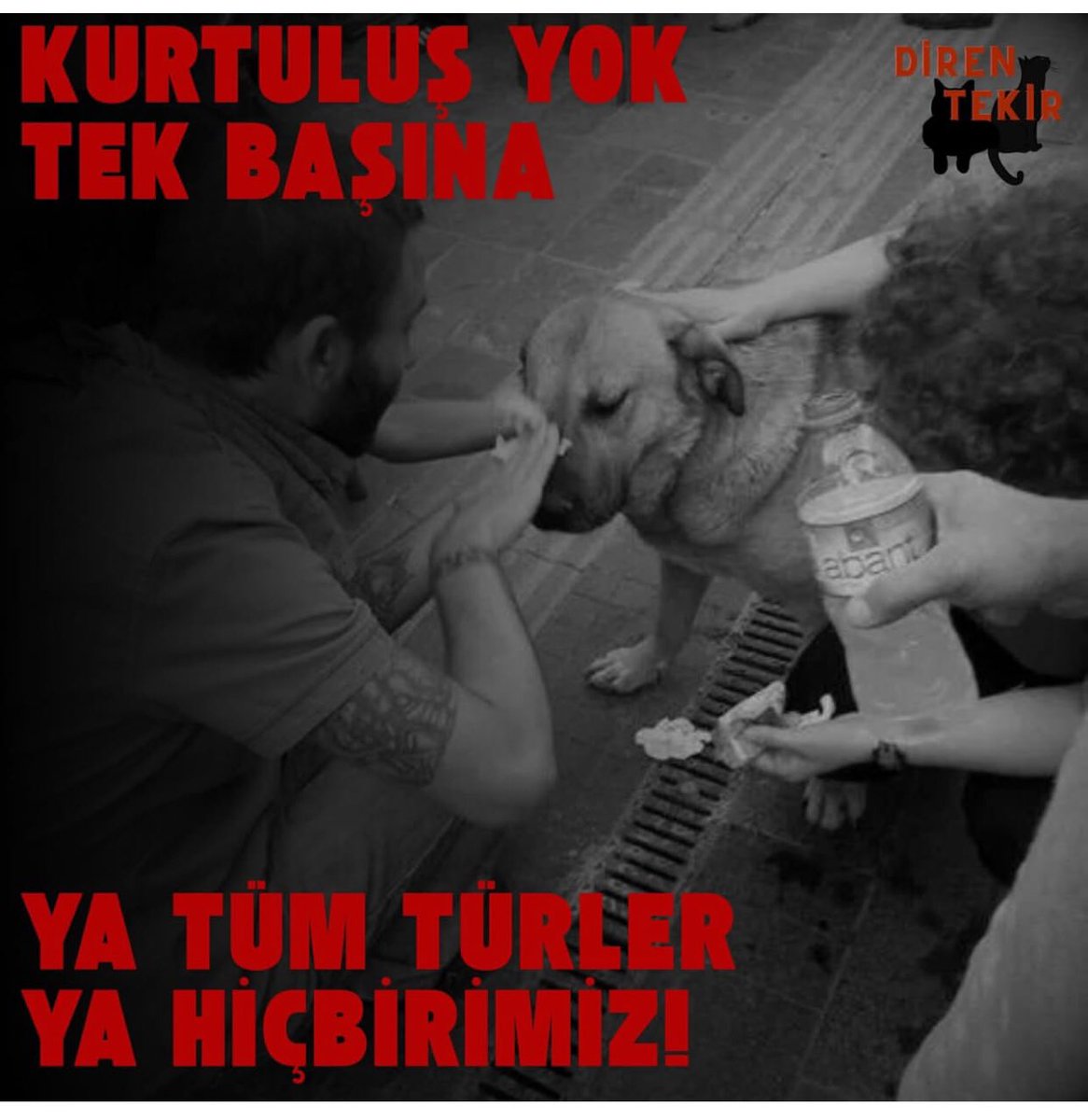 Üsküdar Belediyesi,
Barınak kapasitesinin 3 katı köpek toplamışsınız, toplamaya devam edeceğinizi duyduk…
Yeterli kapasite yoksa toplama yapmak kanuna aykırı!
Toplamada ısrar demek, öldürmek demek!
YAPMAYIN!
<a href="/uskudarbld/">Üsküdar Belediyesi</a> <a href="/sdedetas/">Sinem Dedetaş</a> <a href="/CHP_istanbulil/">CHP İstanbul İl Başkanlığı</a>

#4NisanDünyaSokakHayvanlarıGünü
