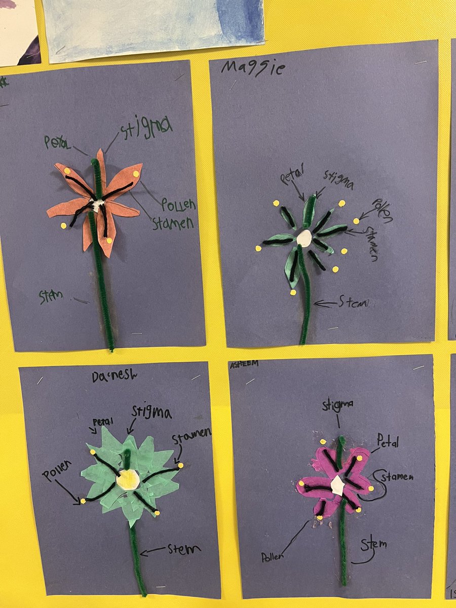 APS Literacy Coaches tweet media