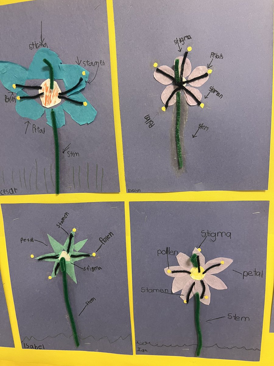 APS Literacy Coaches tweet media