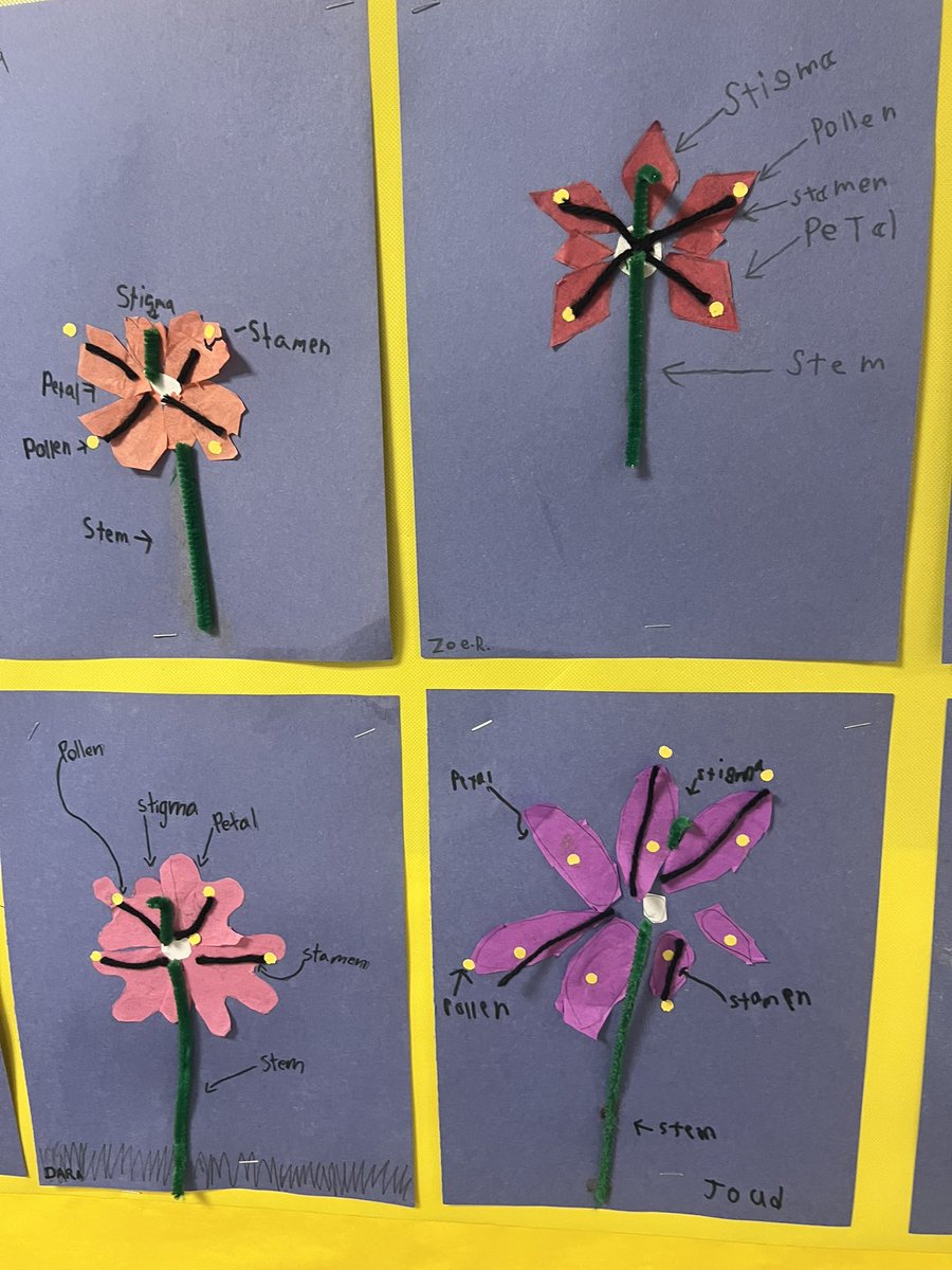 APS Literacy Coaches tweet media