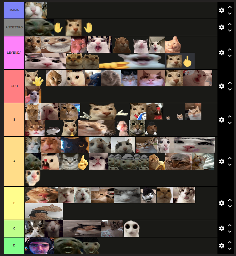 tierlist de gatos 100% basada