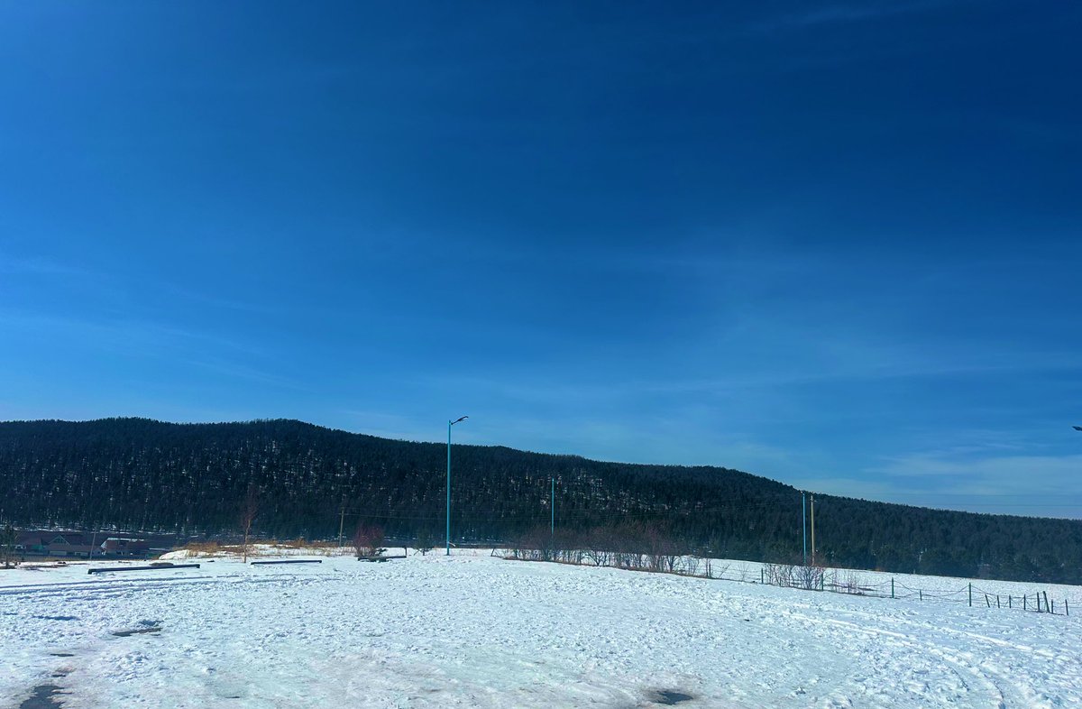 Bayasgalan tweet media