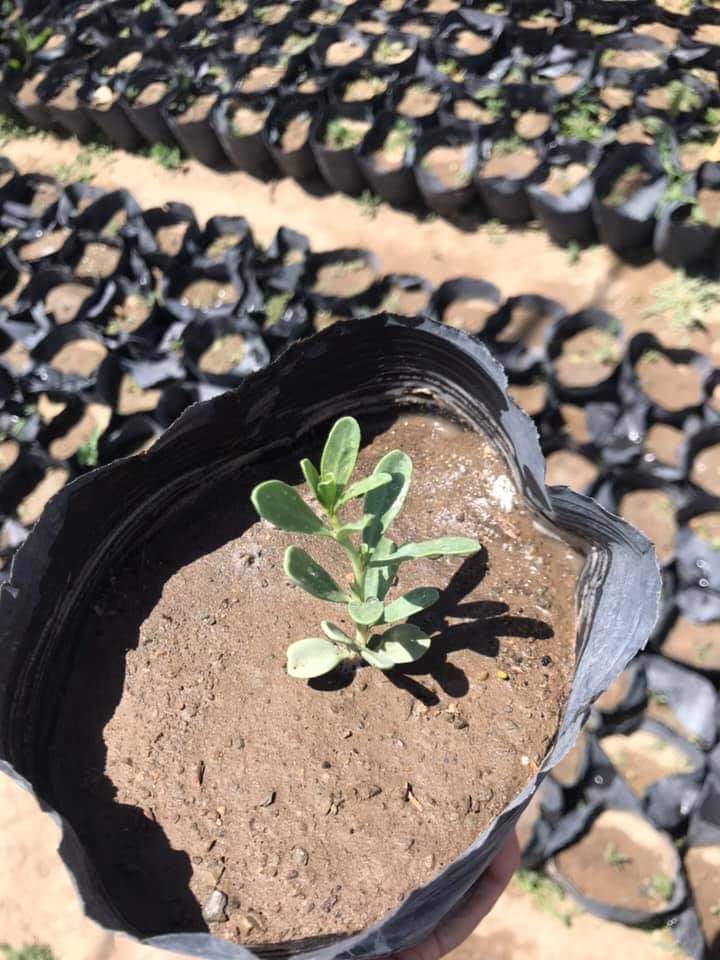 Хатан хармаг ачтай 🍒🍒🍒 tweet media