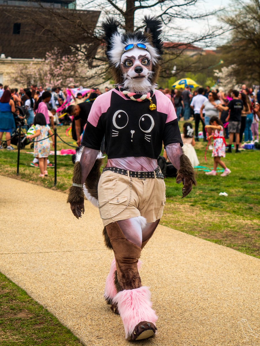 Public suiting (giving normies a core memory) 😤 📸 by kuvo_the_crow (ig)