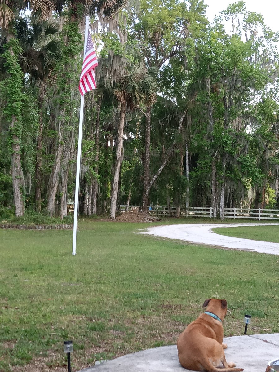 Good evening fellow patriots. From Florida