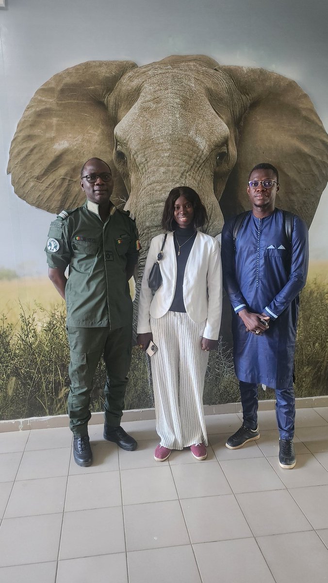 Senegal Youth Biodiversity Network (@gybn_senegal) on Twitter photo GYBN-Sénégal remercie le Directeur de la DPN, le Colonel I. GUEYE, Point Focal CBD du Sénégal 🇸🇳, pour l'audience qu'il nous a accordée aujourd'hui.
<a href="/UNBiodiversity/">UN Biodiversity</a> <a href="/GYBNAfrica/">GYBN Africa</a> <a href="/GYBN_CBD/">Global Youth Biodiversity Network (GYBN)</a> <a href="/RamsarConv/">Convention on Wetlands</a>
<a href="/PrdaoudaN/">Pr Daouda Ngom</a> <a href="/IDEEGENERALE/">Ibrahima gueye</a>
<a href="/ABG_49/">Alioune Badara GUEYE</a> 🌱,Coordonnateur du Chapitre <a href="/GYBN_Senegal/">Senegal Youth Biodiversity Network</a> 🇸🇳 GYBN-Sénégal remercie le Directeur de la DPN, le Colonel I. GUEYE, Point Focal CBD du Sénégal 🇸🇳, pour l'audience qu'il nous a accordée aujourd'hui.
<a href="/UNBiodiversity/">UN Biodiversity</a> <a href="/GYBNAfrica/">GYBN Africa</a> <a href="/GYBN_CBD/">Global Youth Biodiversity Network (GYBN)</a> <a href="/RamsarConv/">Convention on Wetlands</a>
<a href="/PrdaoudaN/">Pr Daouda Ngom</a> <a href="/IDEEGENERALE/">Ibrahima gueye</a>
<a href="/ABG_49/">Alioune Badara GUEYE</a> 🌱,Coordonnateur du Chapitre <a href="/GYBN_Senegal/">Senegal Youth Biodiversity Network</a> 🇸🇳