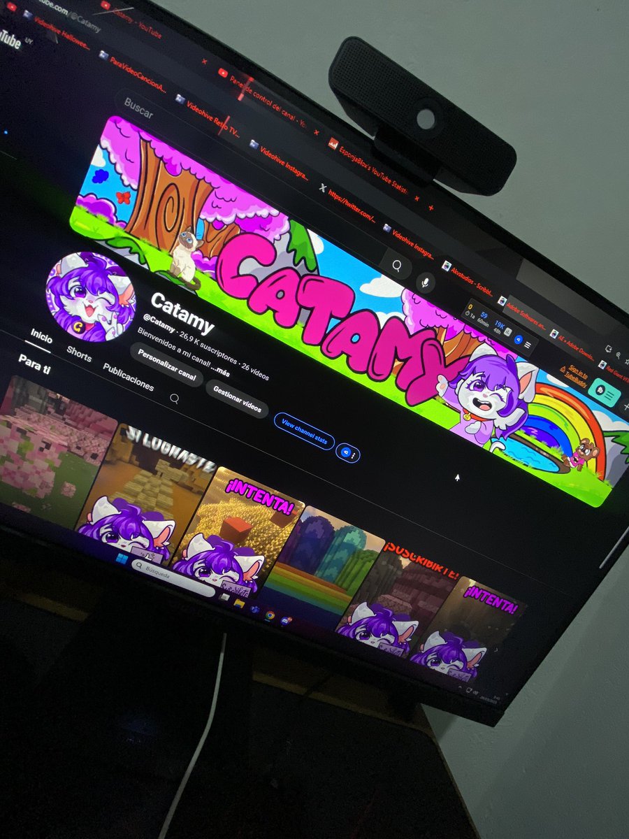Catamy tweet media