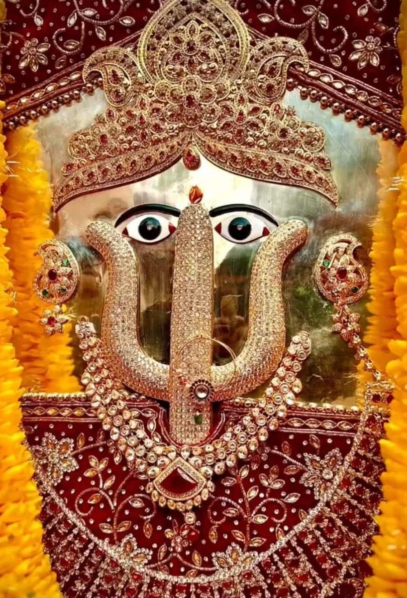 जय दादी की जय जय श्री दादी जी की भाई जी राणी सत्यै नमो नमः