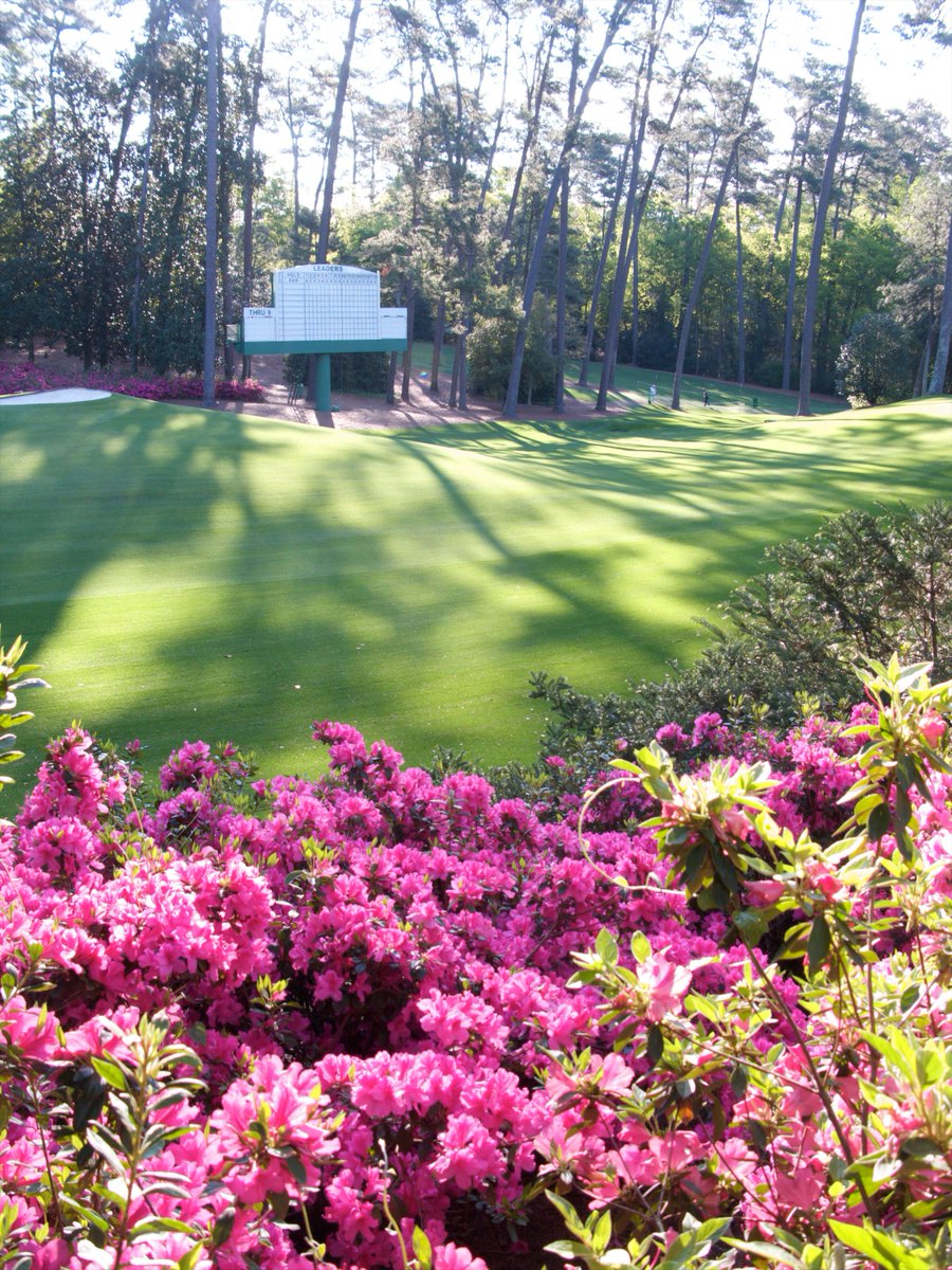 Beauty, color, sounds, and breezes. Augusta captivates all the senses. The countdown has begun.