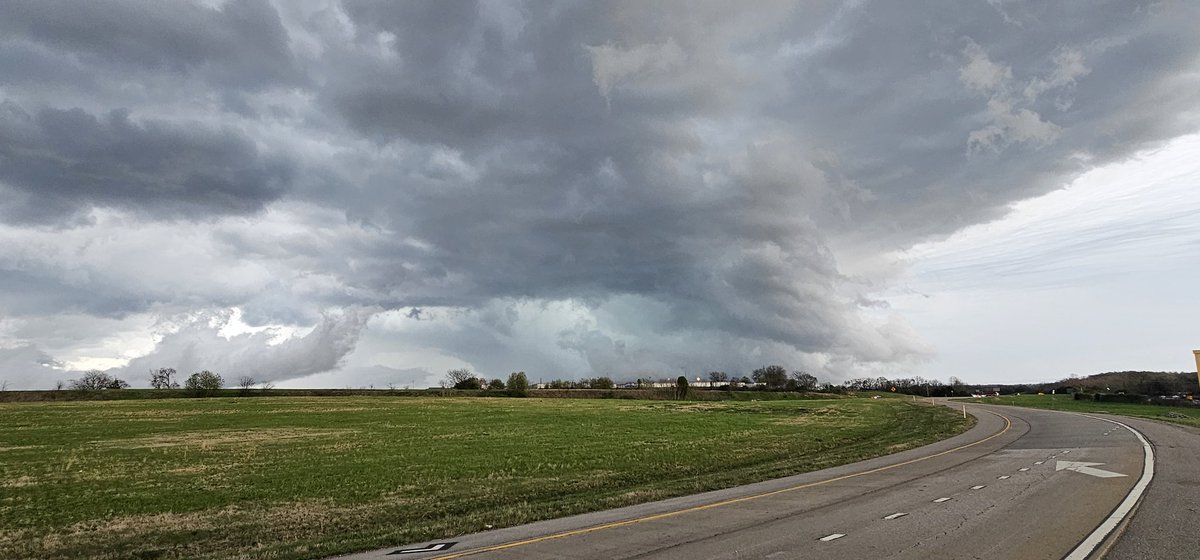 MidTNBaseball tweet media