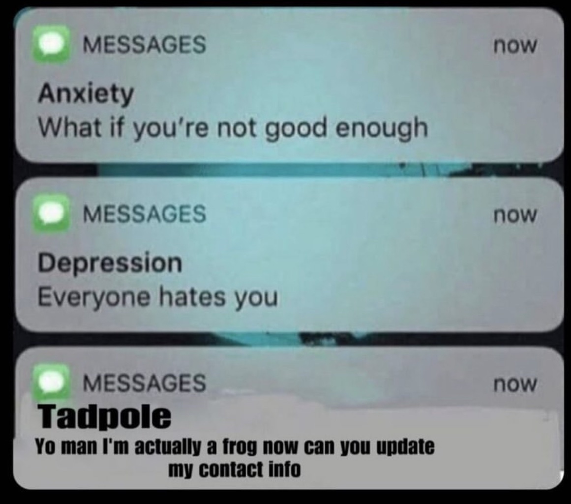 slayvideos's tweet image. 