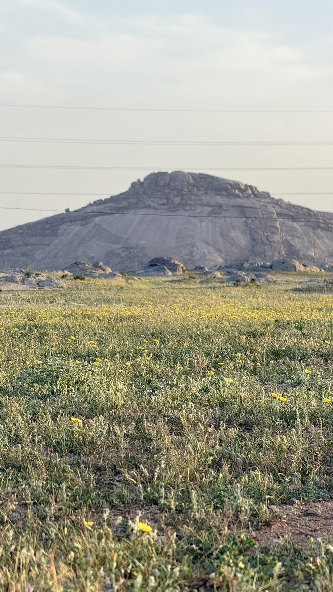 ll2zz's tweet image. مدري دخلنا الكبر وعقولنا خفّت
والا حدانا الزمان وحظنا الامحق

#الجبيل 
#محمد_عبده 
#النصر_الهلال 
#بوح_آخر_الليل