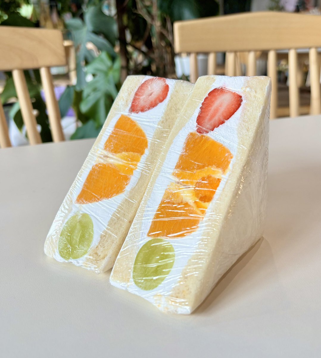 김도마🎗️ tweet media