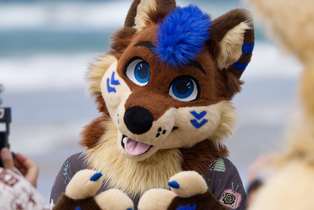 rubyfurrycat tweet media