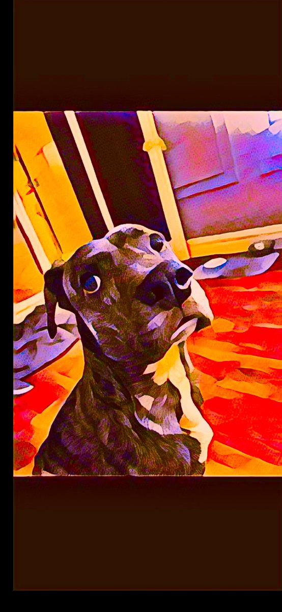 BARZUKAPUNCH's tweet photo. “ KING BLEU “ https://t.co/mRH828SBOL