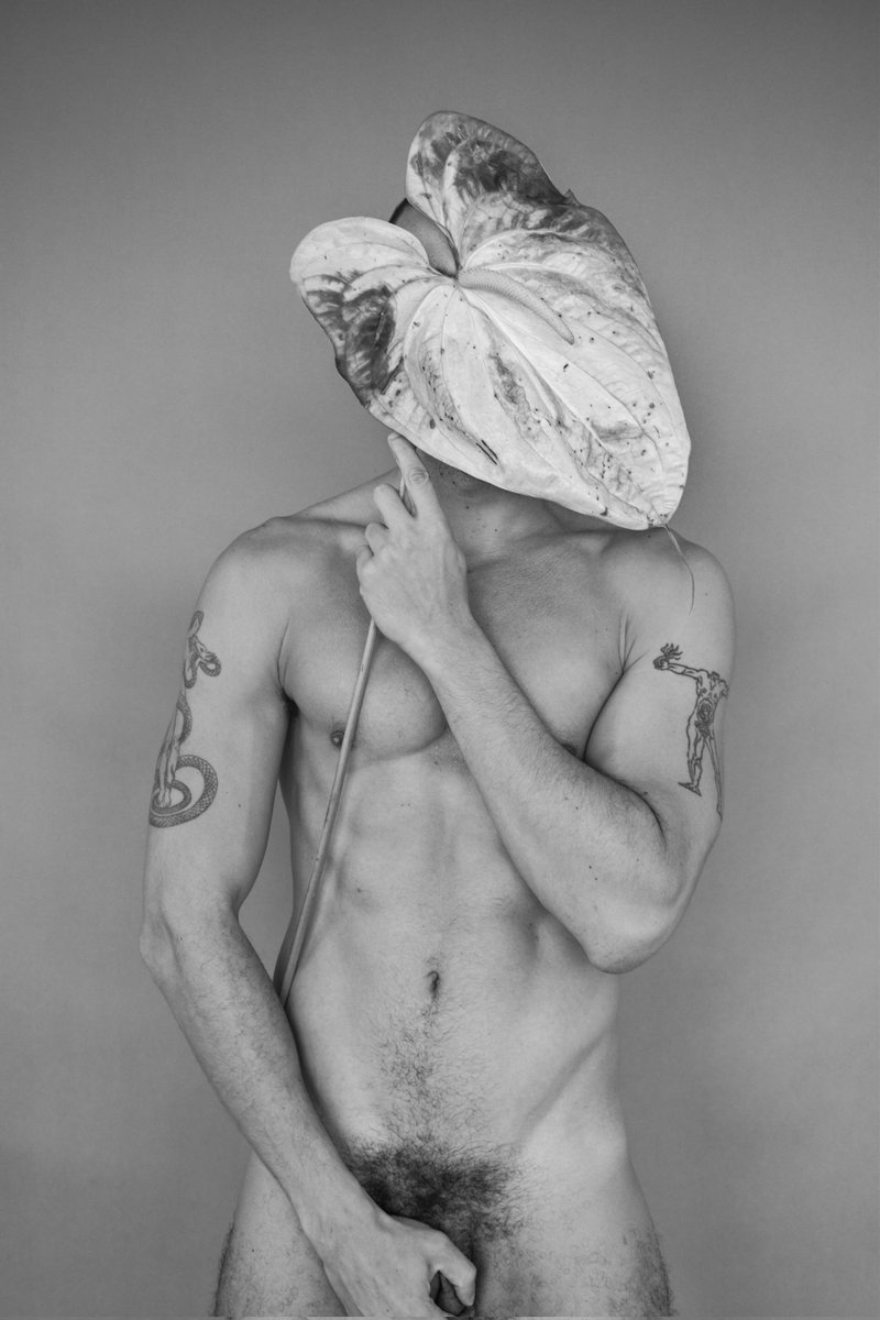 (Anthurium)
.
.
#chudai