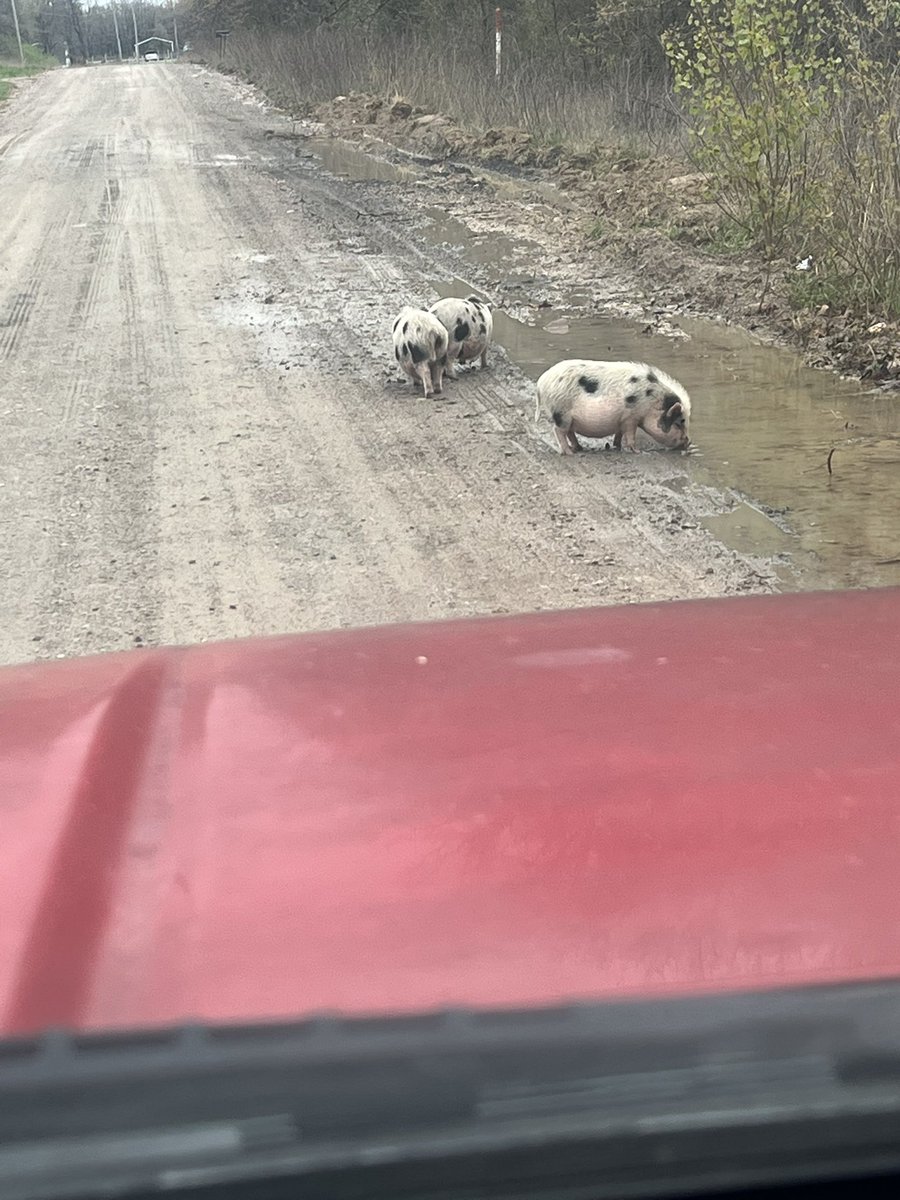 Well shit! Hit a traffic jam coming home!!😂😂😂😂