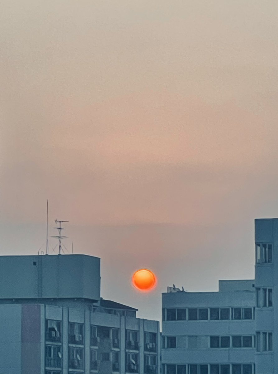 곰국 tweet media