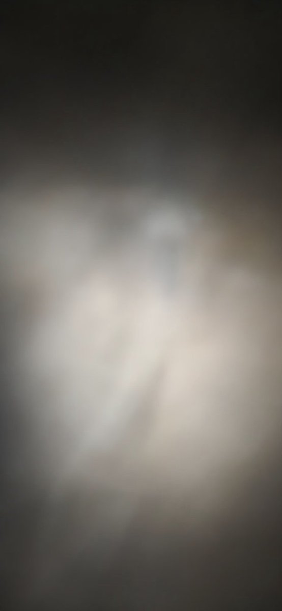 고래🐋 알🥚 (@goraearl) on Twitter photo 