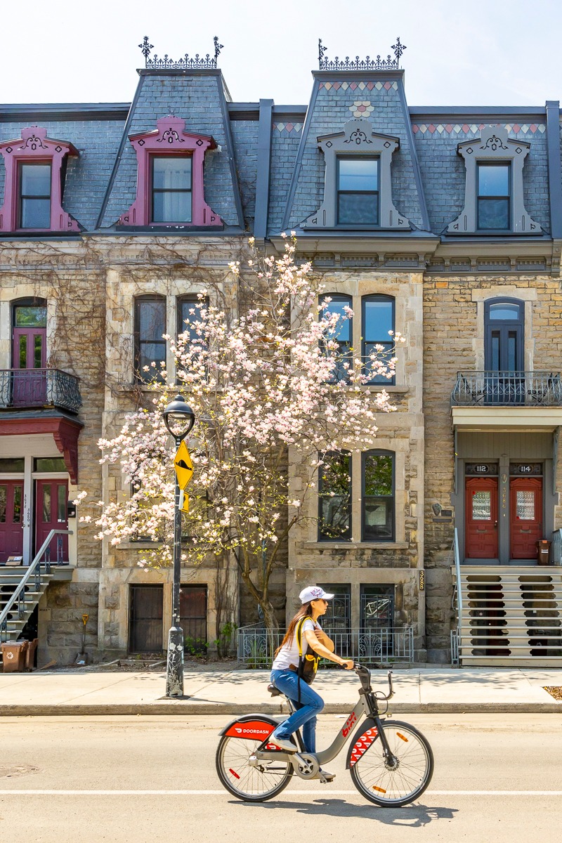 Loading spring flowers. Please stand by. 🌸

 █▒▒▒▒▒▒▒▒17%

📷 <a href="/evablue/">Eva Blue</a> #montreal