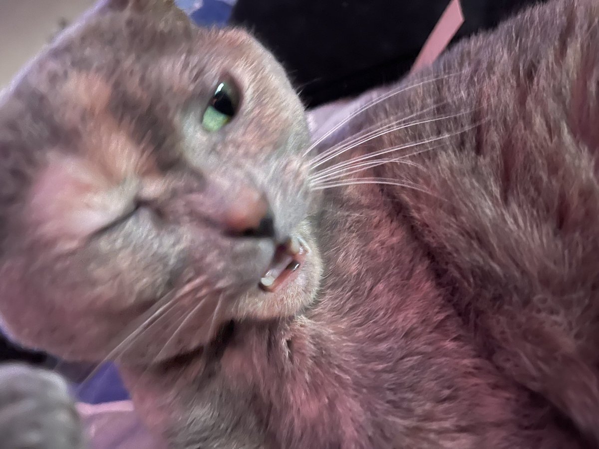 today   i chewe d on  pl astik  ,