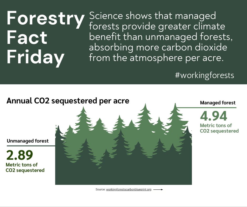 WAWorkingForest's tweet image. #ForestFactFriday #DYK🌲 #workingforests