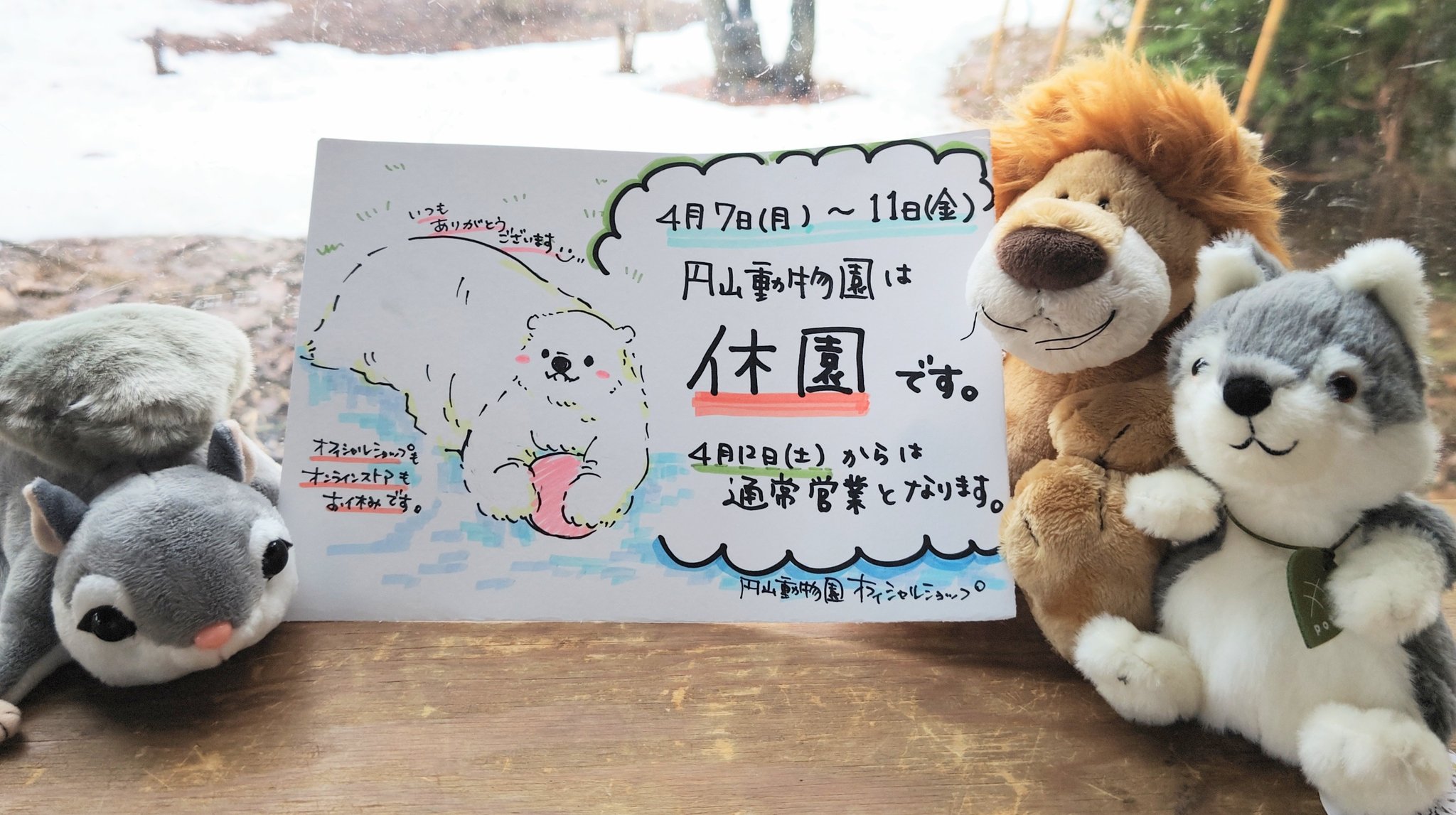 円山動物園オフィシャルショップ on X: 