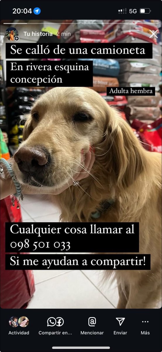 Adriana (@adriana43587622) on Twitter photo 