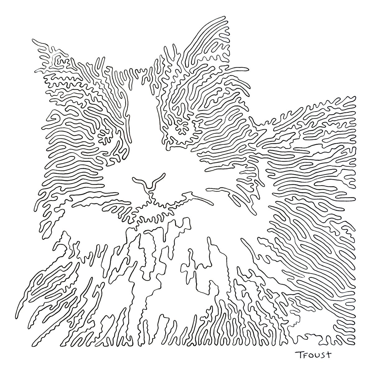 TylerFoust13's tweet image. I drew a dog