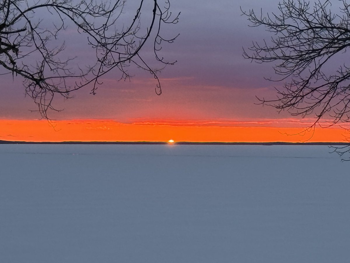 Jeff Lambert tweet media