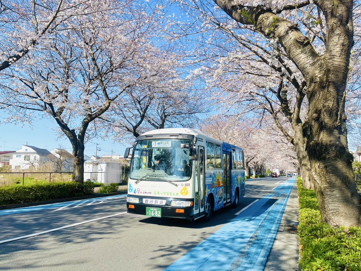銀河 2号　貸本 583系 側面幕 - 銀河