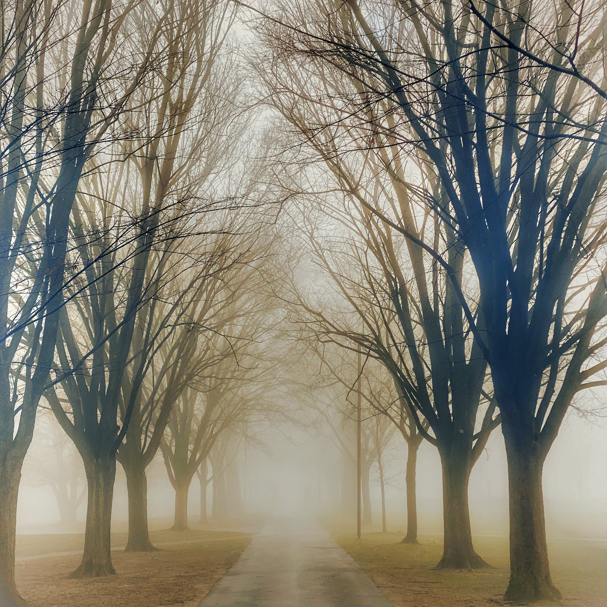 George Woodward tweet media