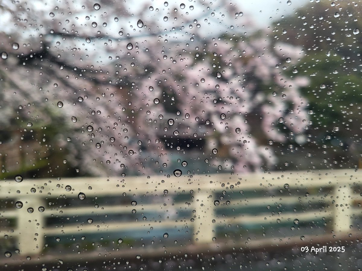 M_is_for_Magic_'s tweet image. 🌸❤️