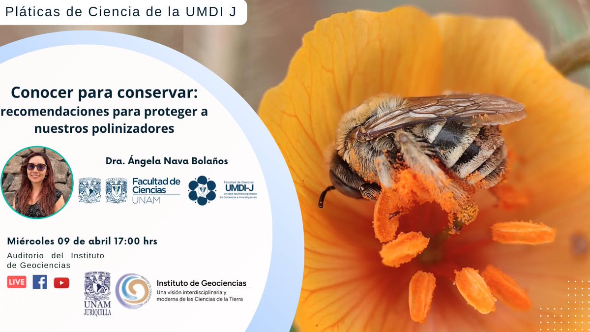 UMDI Juriquilla Facultad de Ciencias UNAM tweet media
