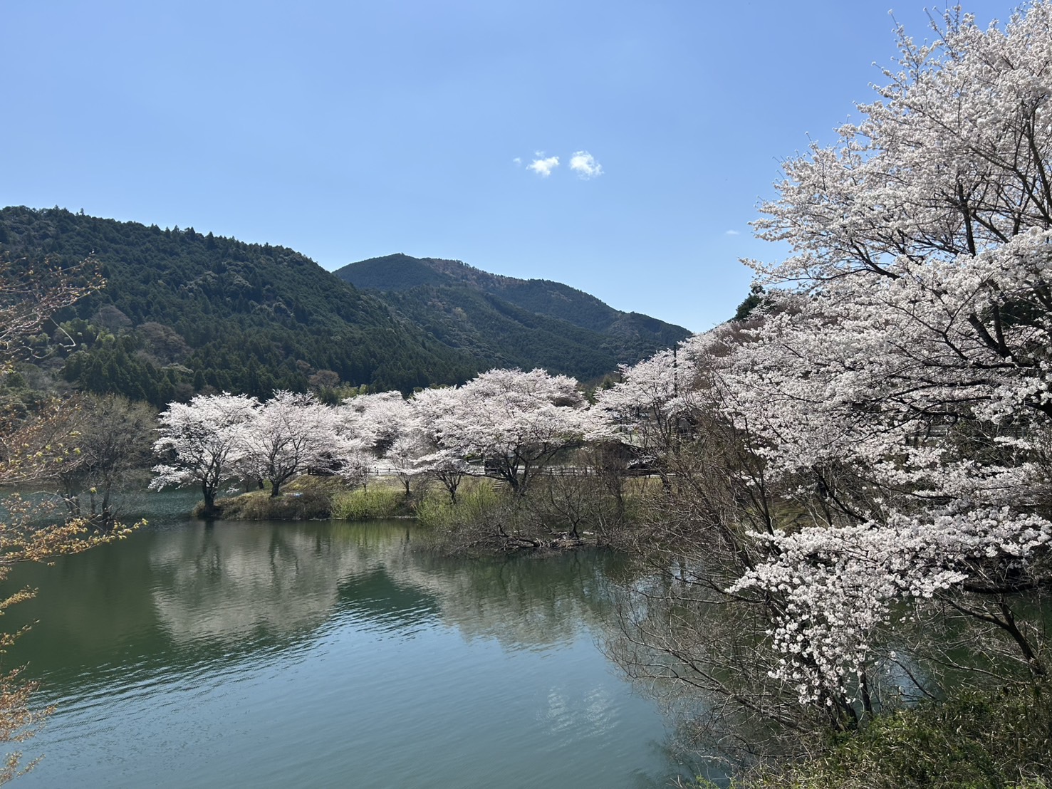 花台 大台町観光協会 on X: 