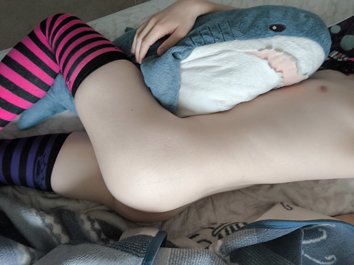 Pup Steps 🔜 LVFC tweet media