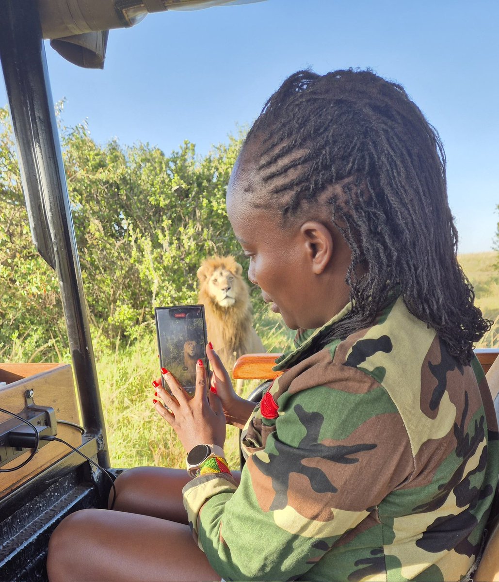 Good morning from the Wild. King of the Jungle. Maasai Mara is beautiful.