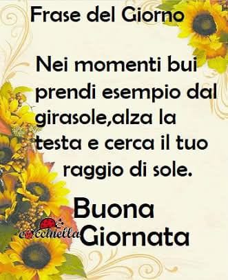 Per tutti un buon giorno ❤️