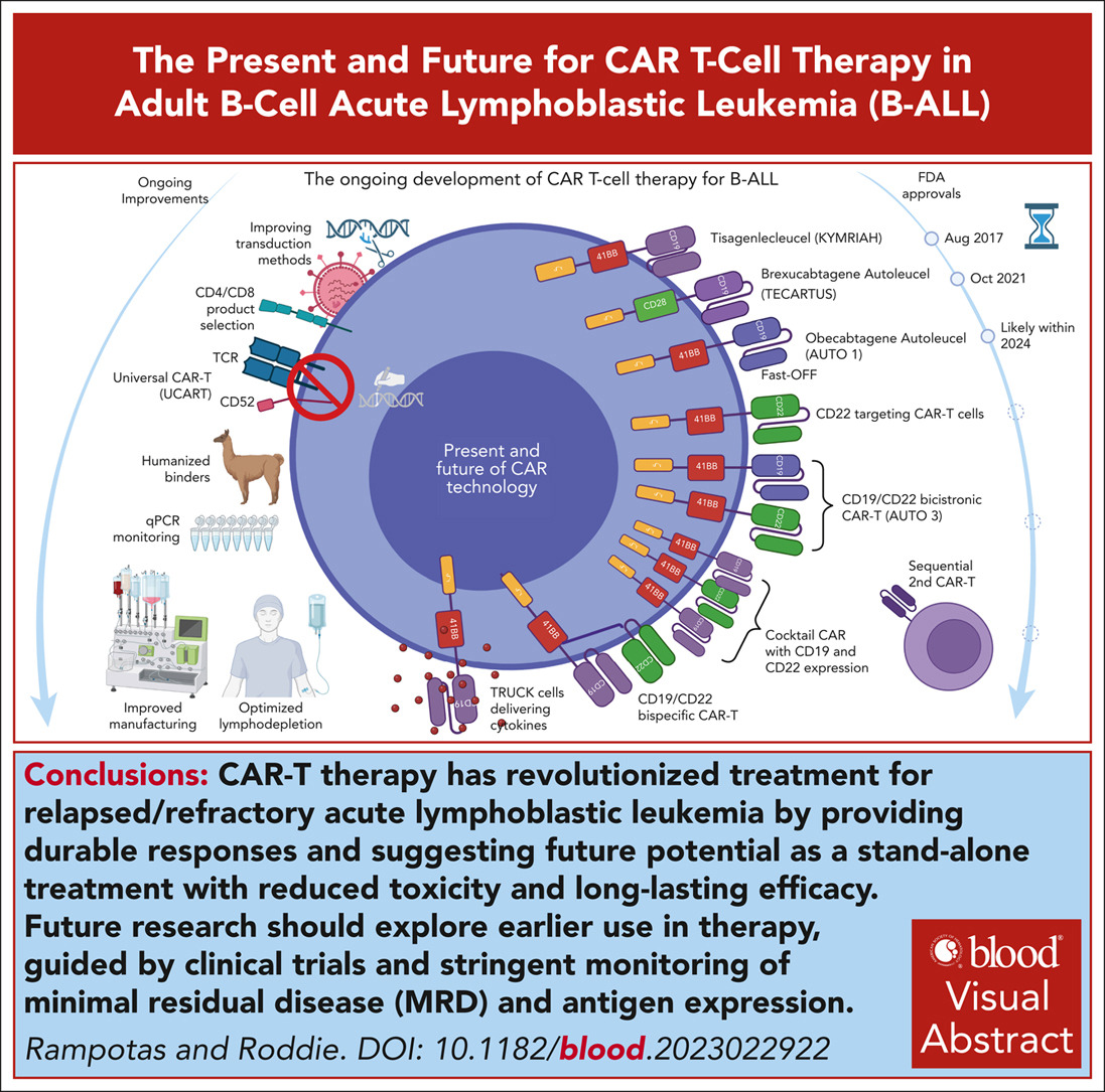 Alex Rampotas (@arampotas) on Twitter photo 🚨Very excited to see our work with <a href="/drclaireroddie/">Claire Roddie</a> out in <a href="/BloodJournal/">Blood Journal</a>
CAR-T has revolutionized treatment for B-ALL, but what’s next? We discuss innovations, challenges, and the road ahead.
🔗 ashpublications.org/blood/article-…
#Leukemia #CARTcell #Hematology 🚨Very excited to see our work with <a href="/drclaireroddie/">Claire Roddie</a> out in <a href="/BloodJournal/">Blood Journal</a>
CAR-T has revolutionized treatment for B-ALL, but what’s next? We discuss innovations, challenges, and the road ahead.
🔗 ashpublications.org/blood/article-…
#Leukemia #CARTcell #Hematology
