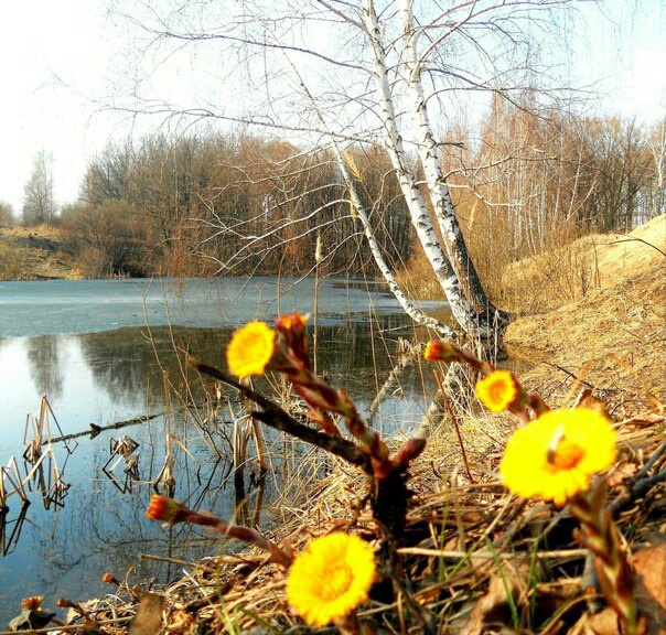 Надежда Антипова (@_nadya_antipova) on Twitter photo <a href="/_Yulia_Filatova/">Юлия Филатова</a> <a href="/Nata__Svetlova/">Наталья Светлова</a> <a href="/_GalinaSmirnova/">Галина Смирнова</a> <a href="/_Nata_Sokol/">Наталья Соколова </a> <a href="/_Mila_Romanova/">Мила Романова 🔙</a> <a href="/_VitaKnyazeva/">Виталия Князева</a> <a href="/Lara_Smurova/">Лариса Смурова 🚀</a> <a href="/Alisiya_Pankova/">Алисия Панкова 💥«</a> <a href="/Sveta_Khazova/">Светлана Хазова</a> <a href="/_Marina_Burina/">Марина Бурина</a> <a href="/Karina__Zimina/">Карина Зимина 🦋</a> <a href="/BogSuvorova/">Богдана Суворова</a> <a href="/Mishel_Lebedeva/">Мишель Лебедева</a> <a href="/Evelina__Lapina/">Эвелина Лапина</a> <a href="/Irina__Razumova/">Ирина Разумова</a> <a href="/Karina__Lapina/">Карина Лапина</a> <a href="/Juliana_Fadeeva/">Юлианна Фадеева</a> <a href="/Vlada_Ulisova/">Влада Улисова</a> <a href="/Valeri_Ladamina/">Валерия Ладамина</a> <a href="/_Alina_Panova/">Алина Панова</a> <a href="/_Alina_Shilova/">Алина Шилова</a> <a href="/Veronika_Mazina/">Вероника Мазина</a> <a href="/Dominik_Svetova/">Доминика Светова</a> <a href="/Mari__Samsonova/">Мария Самсонова 💕</a> <a href="/Dana__Levina/">💞 Дана Левина 💞</a> <a href="/_NikaSmirnova/">Ника Смирнова 🦋</a> <a href="/_PolinaSavina/">Полина Савина 🧢</a> <a href="/_TatyanaGolub/">Татьяна Голубева 🔥«</a> <a href="/Yuliya_Verina/">Юлия Верина 🍁</a> <a href="/_Anna_Gordeeva/">Анна Гордеева</a> <a href="/Frolova__Nastya/">Анастасия Фролова ✨</a> <a href="/Val_Valereva/">Валентина Валерьева</a> <a href="/Evgen_Safina/">Евгения Сафина</a> <a href="/Alina__Azarova/">Алина Азарова 🔥</a> <a href="/Liza_Vesnina/">Лизавета Веснина</a> <a href="/Sveta_Makeina/">Светлана Макеина</a> <a href="/Kseniya_Aksen/">Ксения Аксенова</a> <a href="/_OksanaFirsova/">Оксана Фирсова</a> <a href="/Roza_Rakitina/">Роза Ракитина</a> <a href="/IrishaKoroleva/">Ирина Королева</a> <a href="/_VladaBelova/">Влада Белова</a> <a href="/ya__chara/">Яна</a> <a href="/alberiniks/">Нина Альбертова</a> <a href="/lady__travel/">Нинэлька</a> <a href="/Ansupers/">Анастасия</a> <a href="/Alisa550055/">Алиса</a> <a href="/glamour__fifa/">Нэнси</a> <a href="/santairis_/">Ириска</a> <a href="/polovinkamoya/">Валентина</a> <a href="/niguzan/">Нина</a> <a href="/_Yulia_Filatova/">Юлия Филатова</a> <a href="/Nata__Svetlova/">Наталья Светлова</a> <a href="/_GalinaSmirnova/">Галина Смирнова</a> <a href="/_Nata_Sokol/">Наталья Соколова </a> <a href="/_Mila_Romanova/">Мила Романова 🔙</a> <a href="/_VitaKnyazeva/">Виталия Князева</a> <a href="/Lara_Smurova/">Лариса Смурова 🚀</a> <a href="/Alisiya_Pankova/">Алисия Панкова 💥«</a> <a href="/Sveta_Khazova/">Светлана Хазова</a> <a href="/_Marina_Burina/">Марина Бурина</a> <a href="/Karina__Zimina/">Карина Зимина 🦋</a> <a href="/BogSuvorova/">Богдана Суворова</a> <a href="/Mishel_Lebedeva/">Мишель Лебедева</a> <a href="/Evelina__Lapina/">Эвелина Лапина</a> <a href="/Irina__Razumova/">Ирина Разумова</a> <a href="/Karina__Lapina/">Карина Лапина</a> <a href="/Juliana_Fadeeva/">Юлианна Фадеева</a> <a href="/Vlada_Ulisova/">Влада Улисова</a> <a href="/Valeri_Ladamina/">Валерия Ладамина</a> <a href="/_Alina_Panova/">Алина Панова</a> <a href="/_Alina_Shilova/">Алина Шилова</a> <a href="/Veronika_Mazina/">Вероника Мазина</a> <a href="/Dominik_Svetova/">Доминика Светова</a> <a href="/Mari__Samsonova/">Мария Самсонова 💕</a> <a href="/Dana__Levina/">💞 Дана Левина 💞</a> <a href="/_NikaSmirnova/">Ника Смирнова 🦋</a> <a href="/_PolinaSavina/">Полина Савина 🧢</a> <a href="/_TatyanaGolub/">Татьяна Голубева 🔥«</a> <a href="/Yuliya_Verina/">Юлия Верина 🍁</a> <a href="/_Anna_Gordeeva/">Анна Гордеева</a> <a href="/Frolova__Nastya/">Анастасия Фролова ✨</a> <a href="/Val_Valereva/">Валентина Валерьева</a> <a href="/Evgen_Safina/">Евгения Сафина</a> <a href="/Alina__Azarova/">Алина Азарова 🔥</a> <a href="/Liza_Vesnina/">Лизавета Веснина</a> <a href="/Sveta_Makeina/">Светлана Макеина</a> <a href="/Kseniya_Aksen/">Ксения Аксенова</a> <a href="/_OksanaFirsova/">Оксана Фирсова</a> <a href="/Roza_Rakitina/">Роза Ракитина</a> <a href="/IrishaKoroleva/">Ирина Королева</a> <a href="/_VladaBelova/">Влада Белова</a> <a href="/ya__chara/">Яна</a> <a href="/alberiniks/">Нина Альбертова</a> <a href="/lady__travel/">Нинэлька</a> <a href="/Ansupers/">Анастасия</a> <a href="/Alisa550055/">Алиса</a> <a href="/glamour__fifa/">Нэнси</a> <a href="/santairis_/">Ириска</a> <a href="/polovinkamoya/">Валентина</a> <a href="/niguzan/">Нина</a>