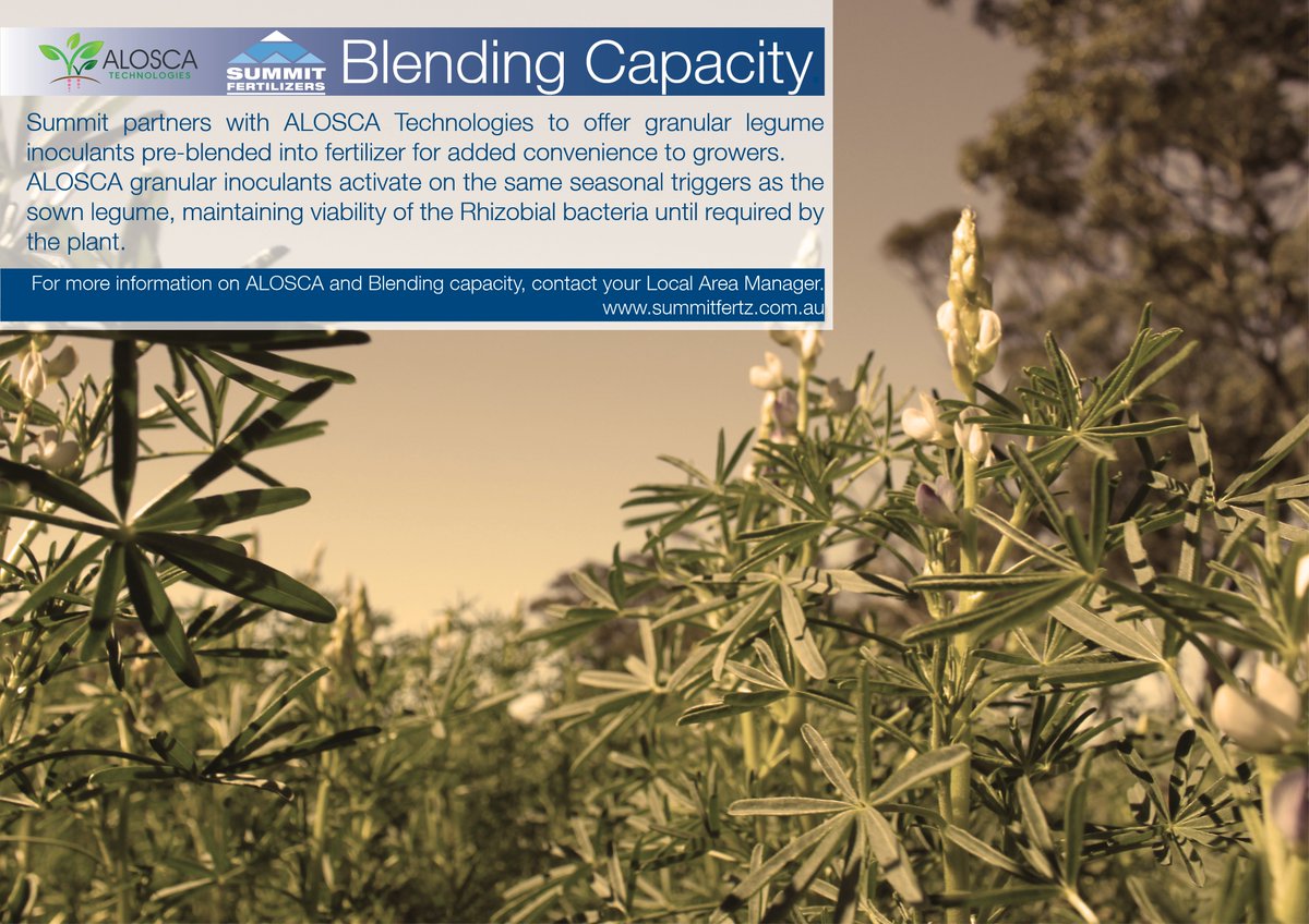Need Legume Inoculants??
Summit Fertilizers are offering a blending service to incorporate ALOSCA’s patented Dry Granule Inoculants into their extensive range of legume and pasture fertilizers.
Simplify your seeding and inoculation and get 2 jobs done in 1!
Contact your local