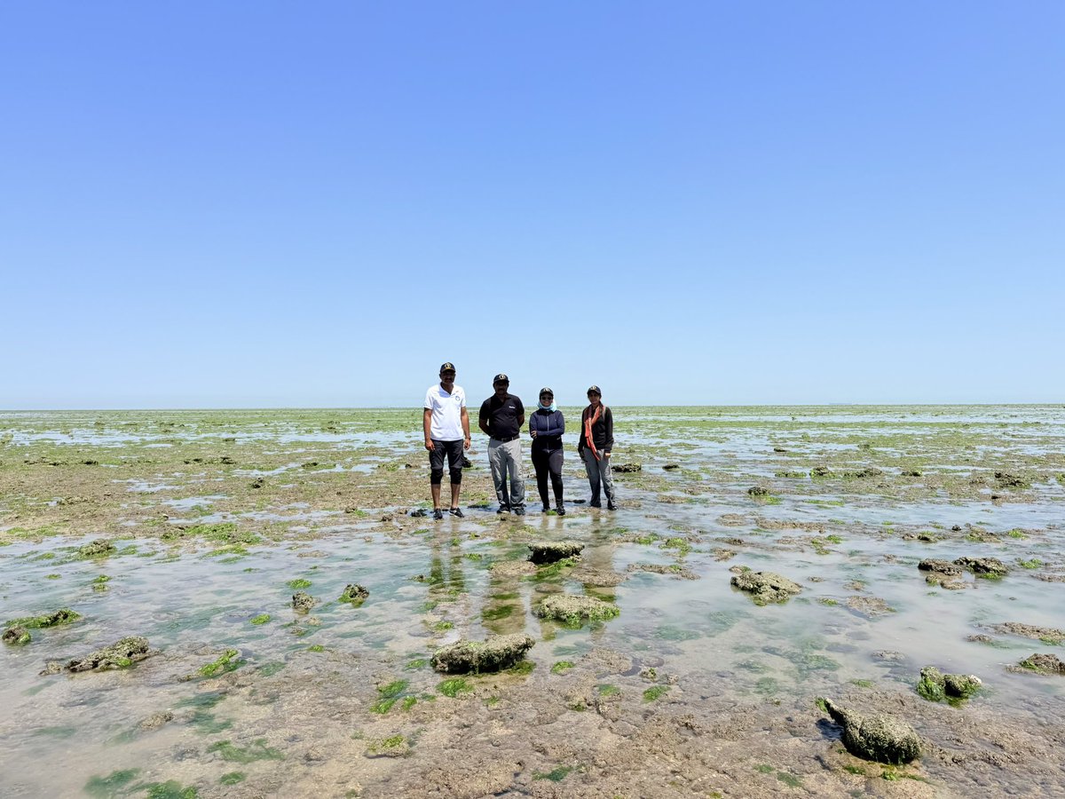 mnpsikka's tweet photo. Today, I was in the area under the range with a marine biologist and field staff, inspecting the coral area and learning about the condition of the coral. https://t.co/G7xYBwwRzX