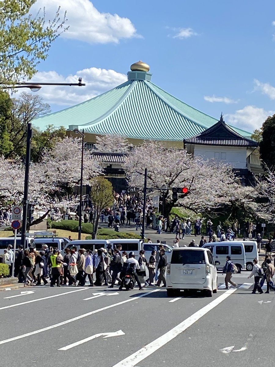 ZAKOoooooooo's tweet photo. 武道館 https://t.co/o0CYxBTXAx