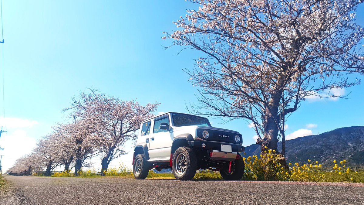 風は強めですが快晴です。
桜は八分咲きといった感じでしょうか。
満開までもう少しです🌸

#ジムニー #シエラ #ノマド #JB64 #JB74 #JC74 #春 #桜 #サクラ #花見 #散策 #ドライブ #愛車と桜の写真見せて