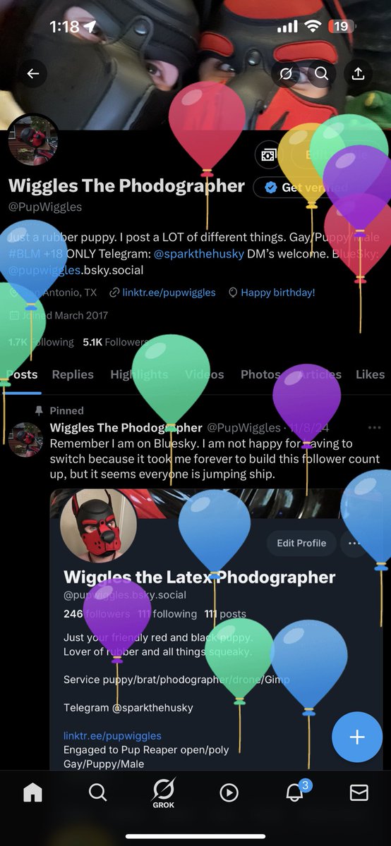 YAY!! Is ballon day for puppy! Am 29 years old now. Am old doggo. :3