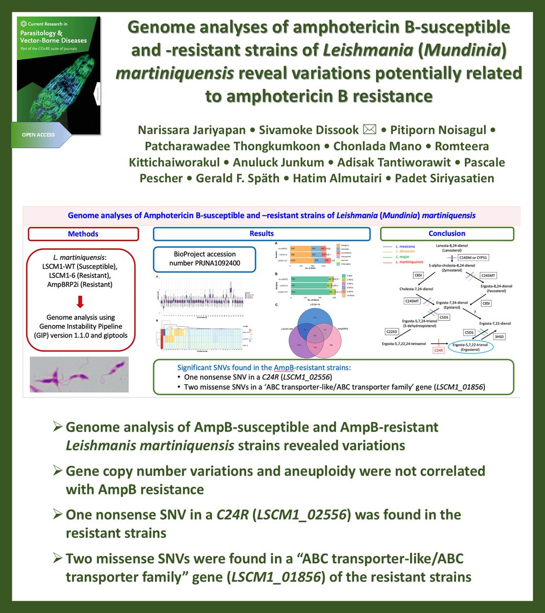 Aneta Kostadinova (@anetkostadinova) on Twitter photo New in Current Research in Parasitology & Vector-Borne Diseases @CRPVBD
#OpenAccess
▶️sciencedirect.com/science/articl…
<a href="/Sivamoke/">Sivamoke Dissook</a>
#Leishmania #Leishmania martiniquensis #Amphotericin B #Resistance #Ergosterol #Genome #Thailand New in Current Research in Parasitology & Vector-Borne Diseases @CRPVBD
#OpenAccess
▶️sciencedirect.com/science/articl…
<a href="/Sivamoke/">Sivamoke Dissook</a>
#Leishmania #Leishmania martiniquensis #Amphotericin B #Resistance #Ergosterol #Genome #Thailand